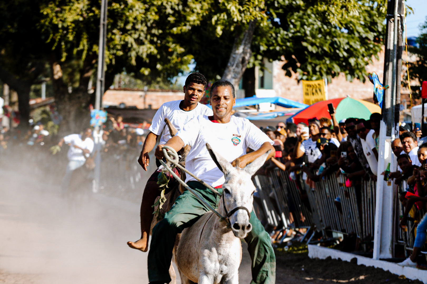 37ª edição da Corrida de Jegue de Afligidos acontece neste domingo, em São Gonçalo dos Campos